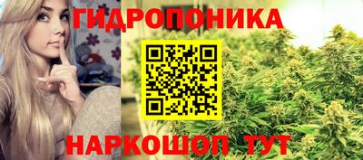 шишки Уссурийск