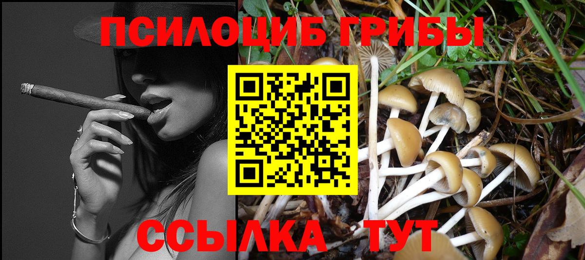 Псилоцибиновые грибы Magic Shrooms Мичуринск