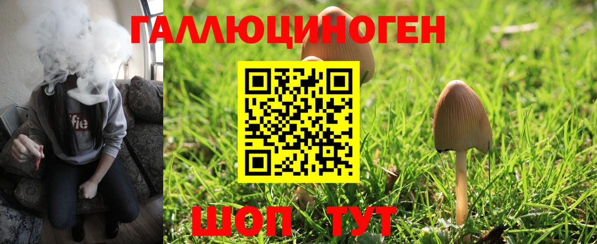 Мичуринск  Галлюциногенные грибы прущие грибы  Вход с VPN  Псилоцибиновые грибы Psilocybine cubensis 